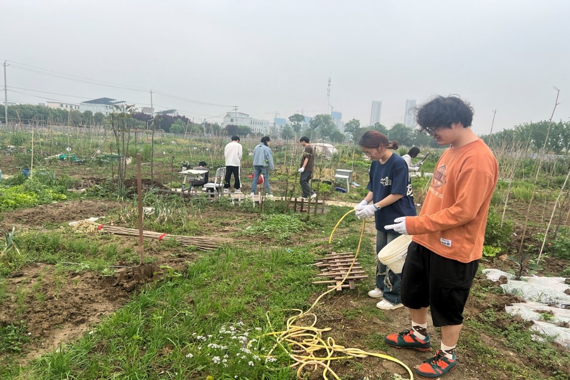 为菜园浇水除草.jpg 为菜园浇水除草.jpg